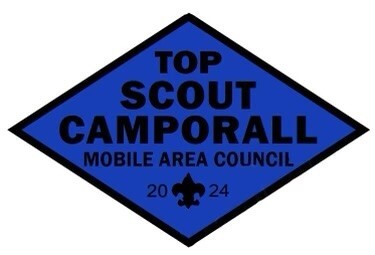 Top Scout 2024