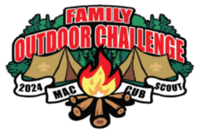 Cub family outdoor challenge